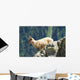Young Ibex from Mont Wall Decal