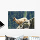 Young Ibex from Mont Wall Decal