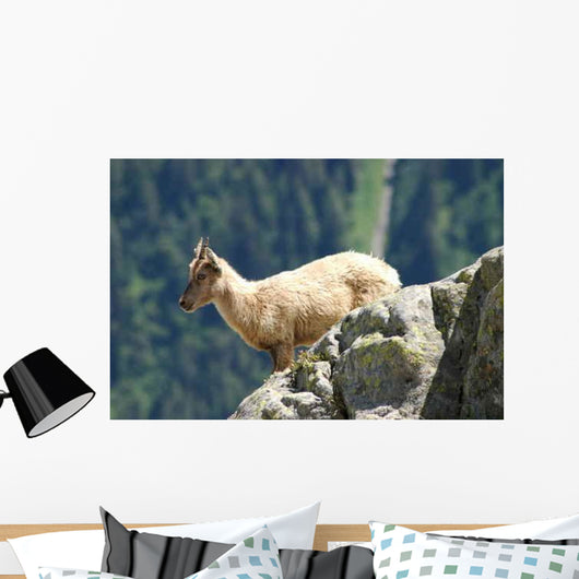 Young Ibex from Mont Wall Decal