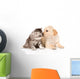 Golden Retriever Puppy Dog Wall Decal