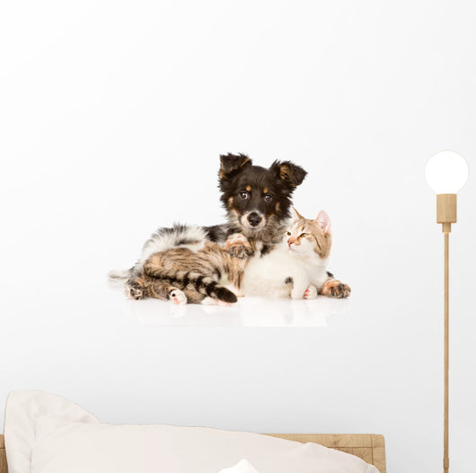 Cute Dog Embracing Cat 