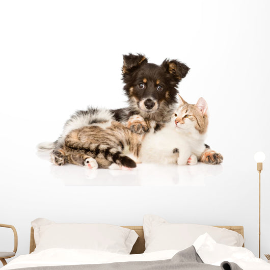 Cute Dog Embracing Cat 