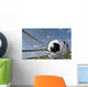 Soccer Ball Goal Wall Mural