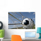 Soccer Ball Goal Wall Mural