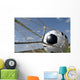 Soccer Ball Goal Wall Mural
