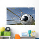 Soccer Ball Goal Wall Mural