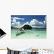 Nest Wall Decal