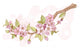 Sakura cherry branch Wall Mural