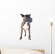 Bull Terrier and Muzzle Wall Decal