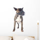 Bull Terrier and Muzzle Wall Decal