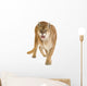 Puma 17 Years - Puma Concolor Wall Decal