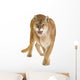 Puma 17 Years - Puma Concolor Wall Decal