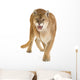 Puma 17 Years - Puma Concolor Wall Decal