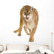 Puma 17 Years - Puma Concolor Wall Decal