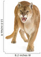 Puma 17 Years - Puma Concolor Wall Decal