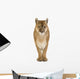 Puma 17 Years - Puma Concolor Wall Decal