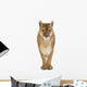 Puma 17 Years - Puma Concolor Wall Decal