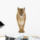 Puma 17 Years - Puma Concolor Wall Decal