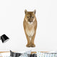 Puma 17 Years - Puma Concolor Wall Decal