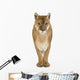 Puma 17 Years - Puma Concolor Wall Decal