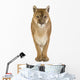 Puma 17 Years - Puma Concolor Wall Decal