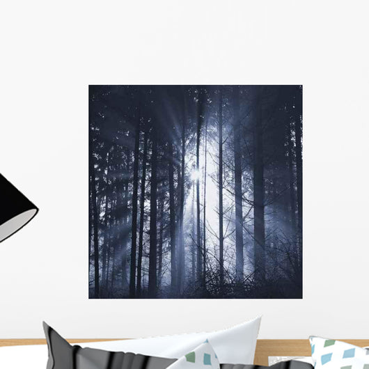 Waldlichter 06 Wall Decal