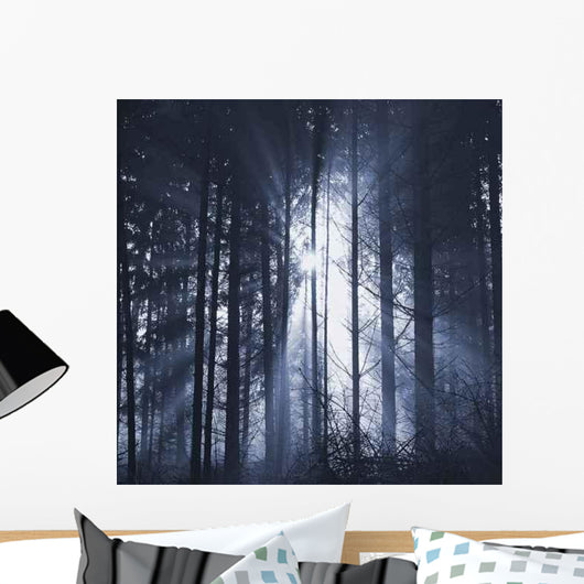 Waldlichter 06 Wall Decal