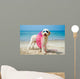 Hund am Strand 