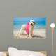 Hund am Strand 