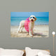 Hund am Strand 