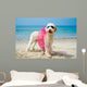 Hund am Strand 