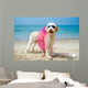 Hund am Strand 