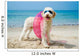 Hund am Strand 
