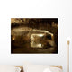 From Cave Choranche Wall Decal