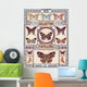 Butterflies Collection 