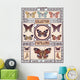 Butterflies Collection 