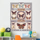 Butterflies Collection 
