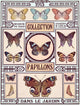 Butterflies Collection 