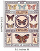 Butterflies Collection 
