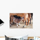 Goatling Milking Wall Decal