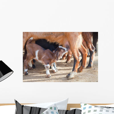 Goatling Milking Wall Decal shown on a wall