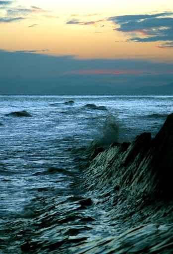 Gentle Surf Wall Decal