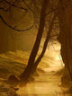 Magic Golden Creek Wall Decal