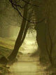 Mystic Fog Wall Decal
