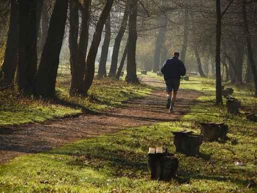 Jogging Morning Light Wall Decal