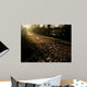 Stone Path on Morning Light Wall Mural