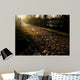 Stone Path on Morning Light Wall Mural