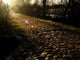 Stone Path on Morning Light Wall Mural