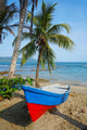 Boat on Tropical Beach With Coconut Tree 