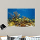 Underwater landscape in a coral reef with fish 
